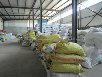 Hebei Worldtop Supply Chain Co.,Ltd