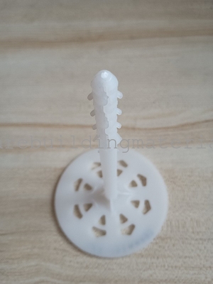 80mm Head Diameter 122mm Length Anchors For Fixing Supplier Insulation Pin Suppiler